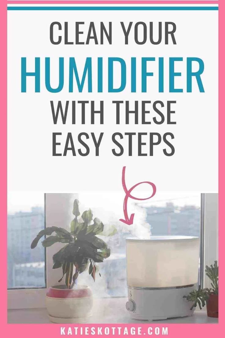 a potted plant with the words clean your humider with these easy steps