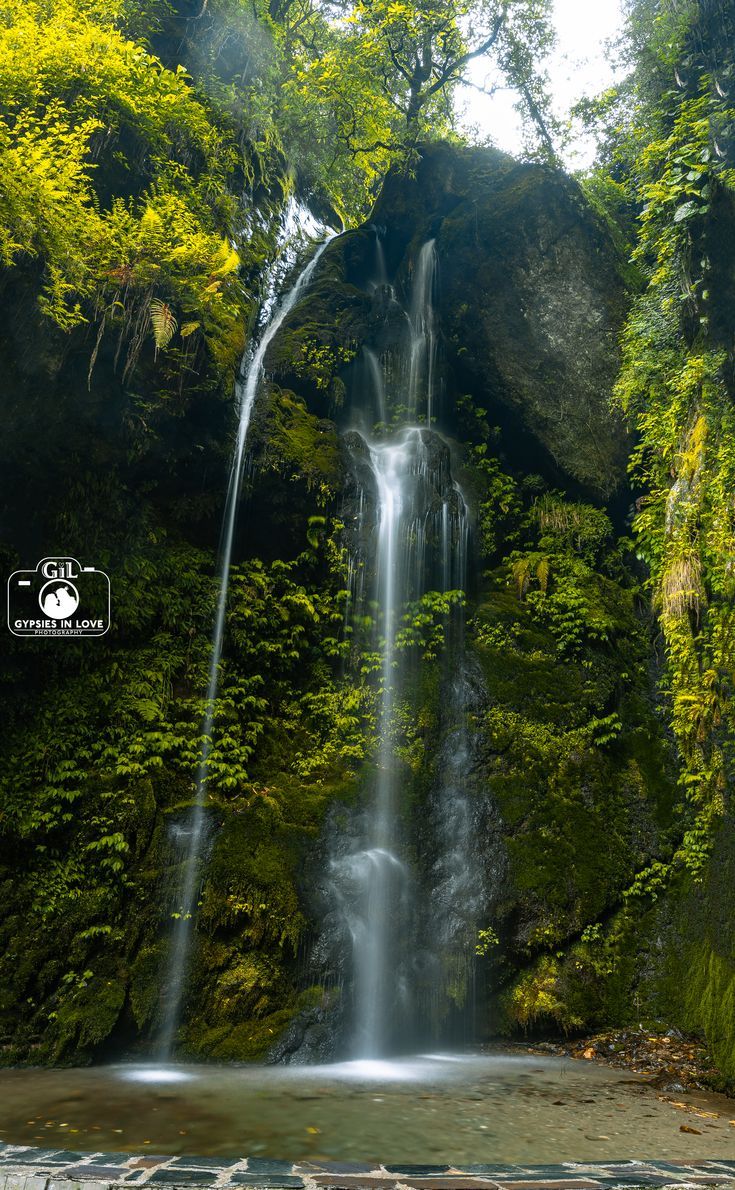 a waterfall in the middle of a lush green forest