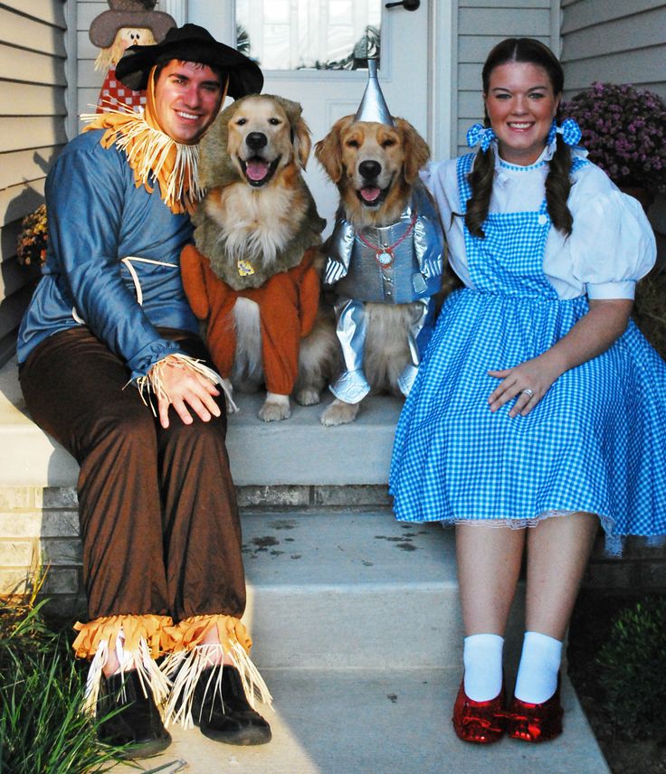 two people sitting on the steps with three dogs dressed up as wizard and scarecrows