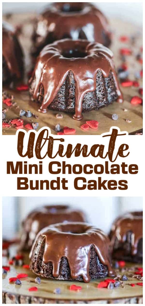 chocolate bundt cakes with the words ultimate mini chocolate bundt cakes