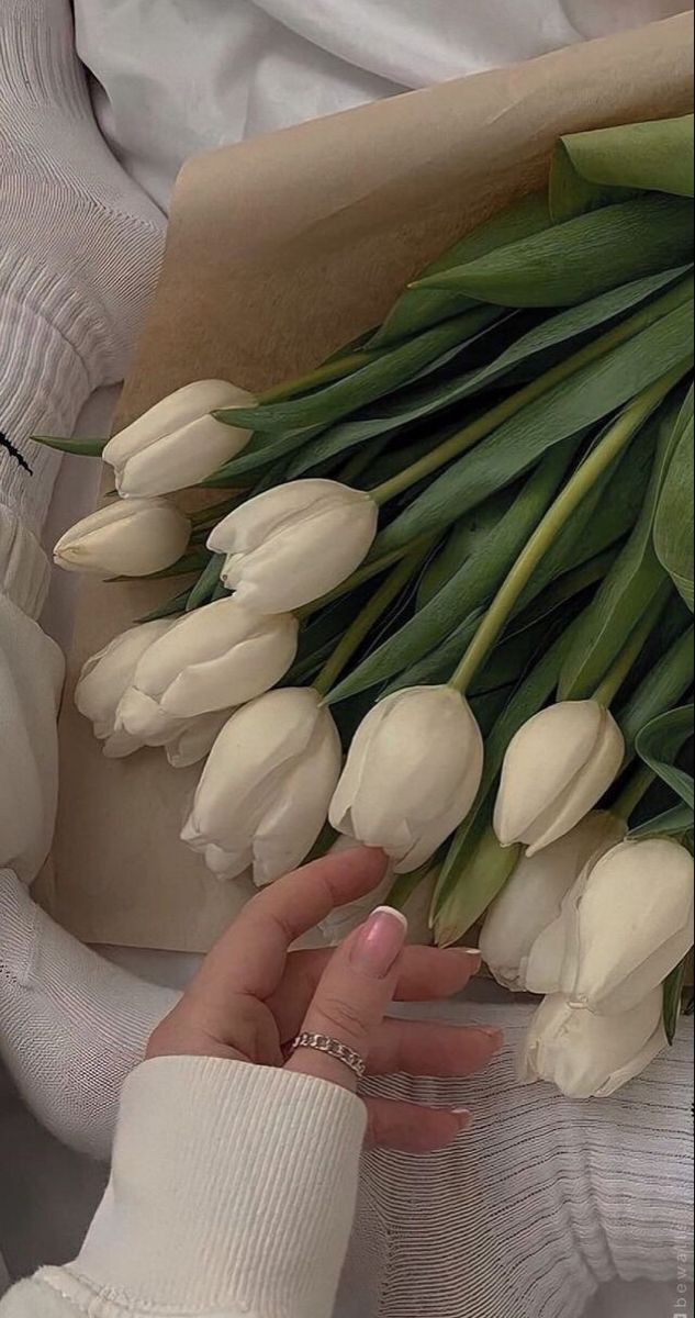 a bouquet of white tulips is being held by a woman's hand