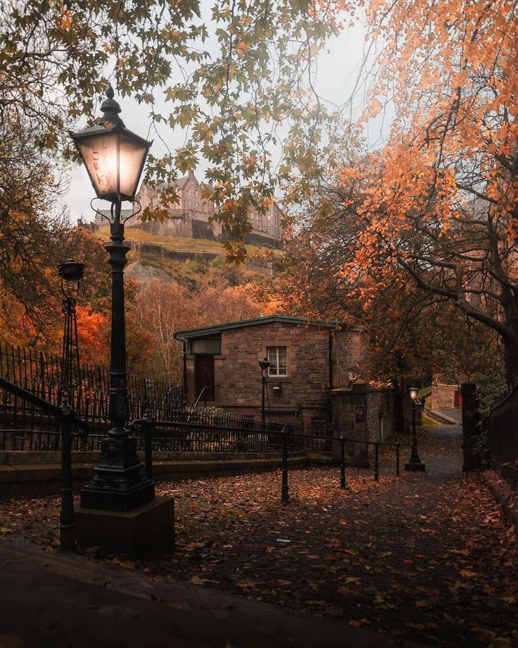 a street light sitting next to a tree filled with autumn leaves on top of a lush green hillside