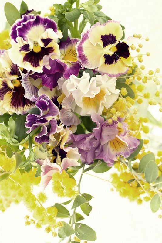 a vase filled with lots of purple and yellow flowers