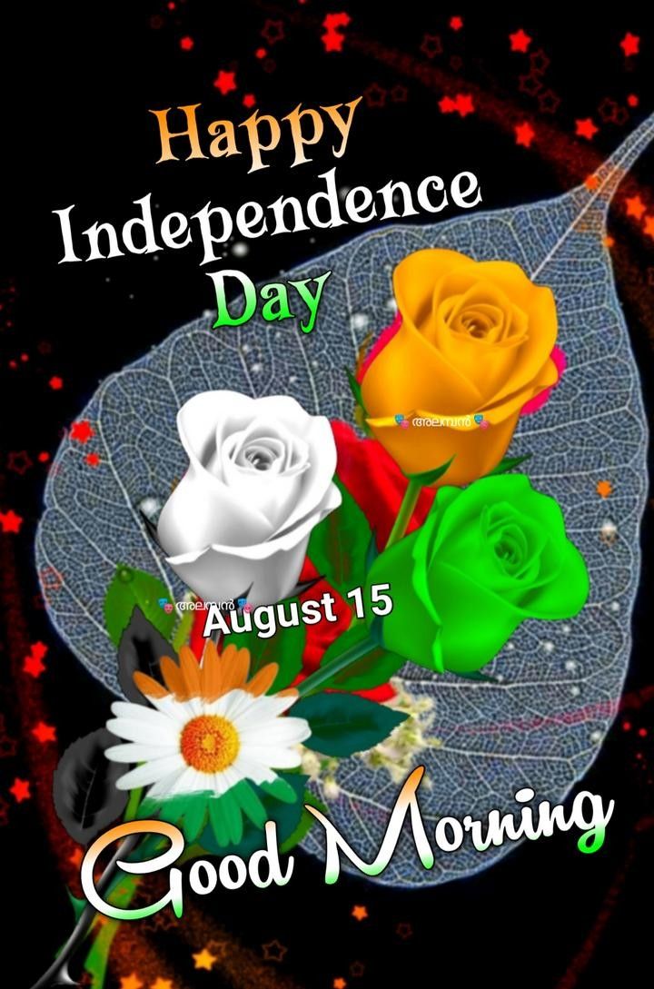 happy independence day with three roses on a leaf and the words good morning written below it