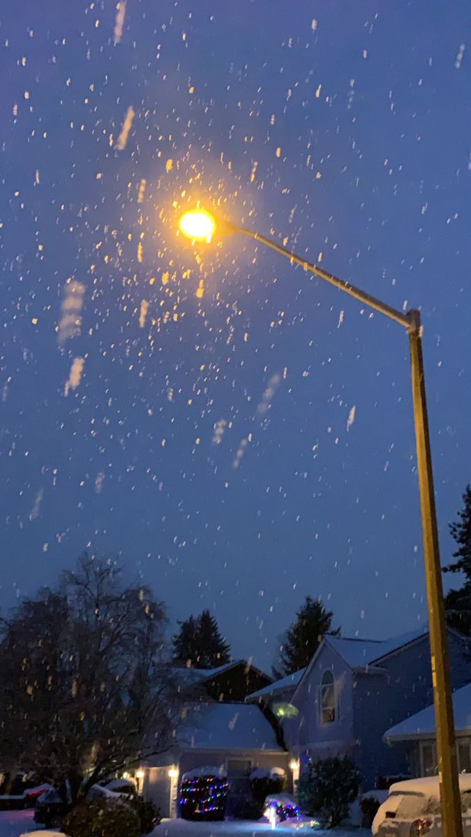 a street light on a snowy night with snow falling all over the ground and houses in the background