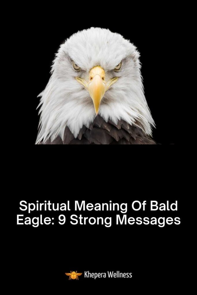 an eagle's head with the words, spirital meaning of bald eagle 9 strong messages