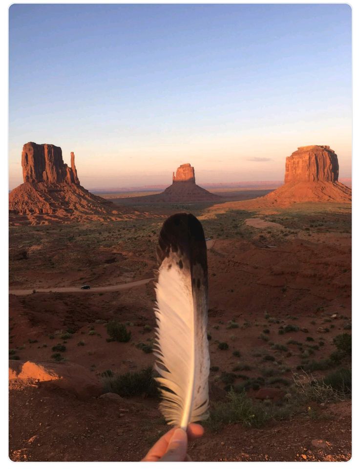 a person holding up a white feather in front of the desert with mountains and rocks