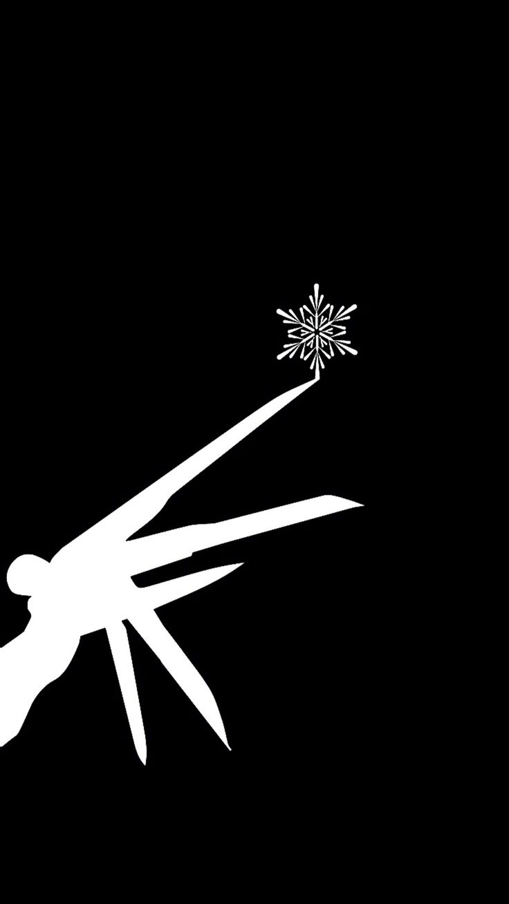 a black and white image of a snowflaker in the air with it's blades sticking out