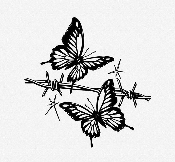 two butterflies are sitting on barbed wire