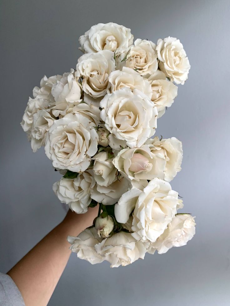 a bouquet of white roses being held by a person's hand against a gray background