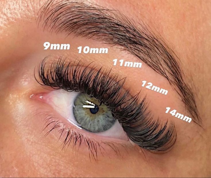 Lash Extension Map, Map Eyelash Extensions, Natural Fake Eyelashes, Best Lash Extensions, Lashes Fake Eyelashes, Lashes Tutorial, Eyelash Tips, Eyelash Technician, Cat Eye Lash