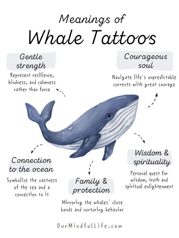 the meanings and meaning of whale tattoos on a white background with an image of a blue whale