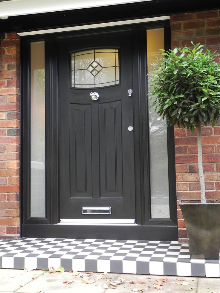 a potted plant sitting in front of a black door