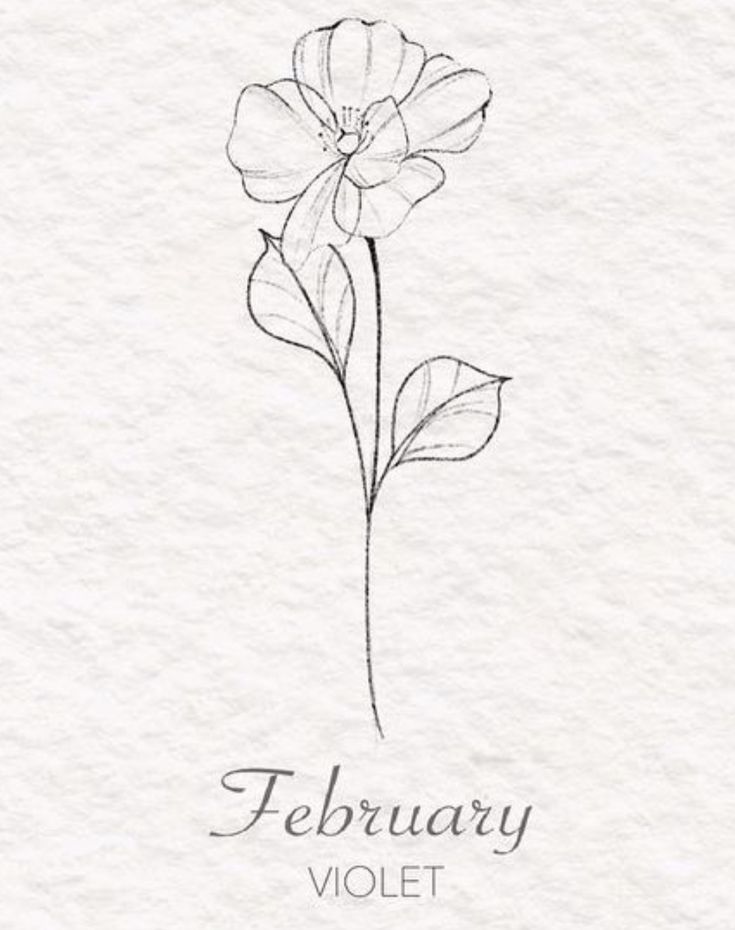 a drawing of a flower with the words, february violet