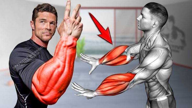 an image of a man doing exercises with his arm and back muscles highlighted in red