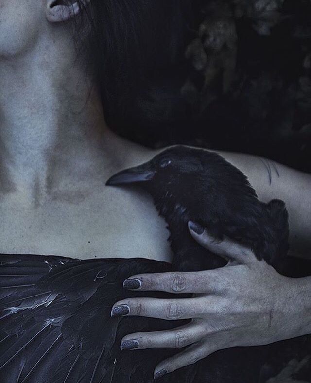 a woman holding a black bird in her hand with the words voge written on it