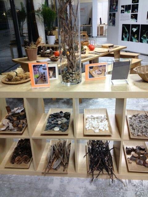 an assortment of rocks and shells on display in a store window with pictures hanging from the shelves