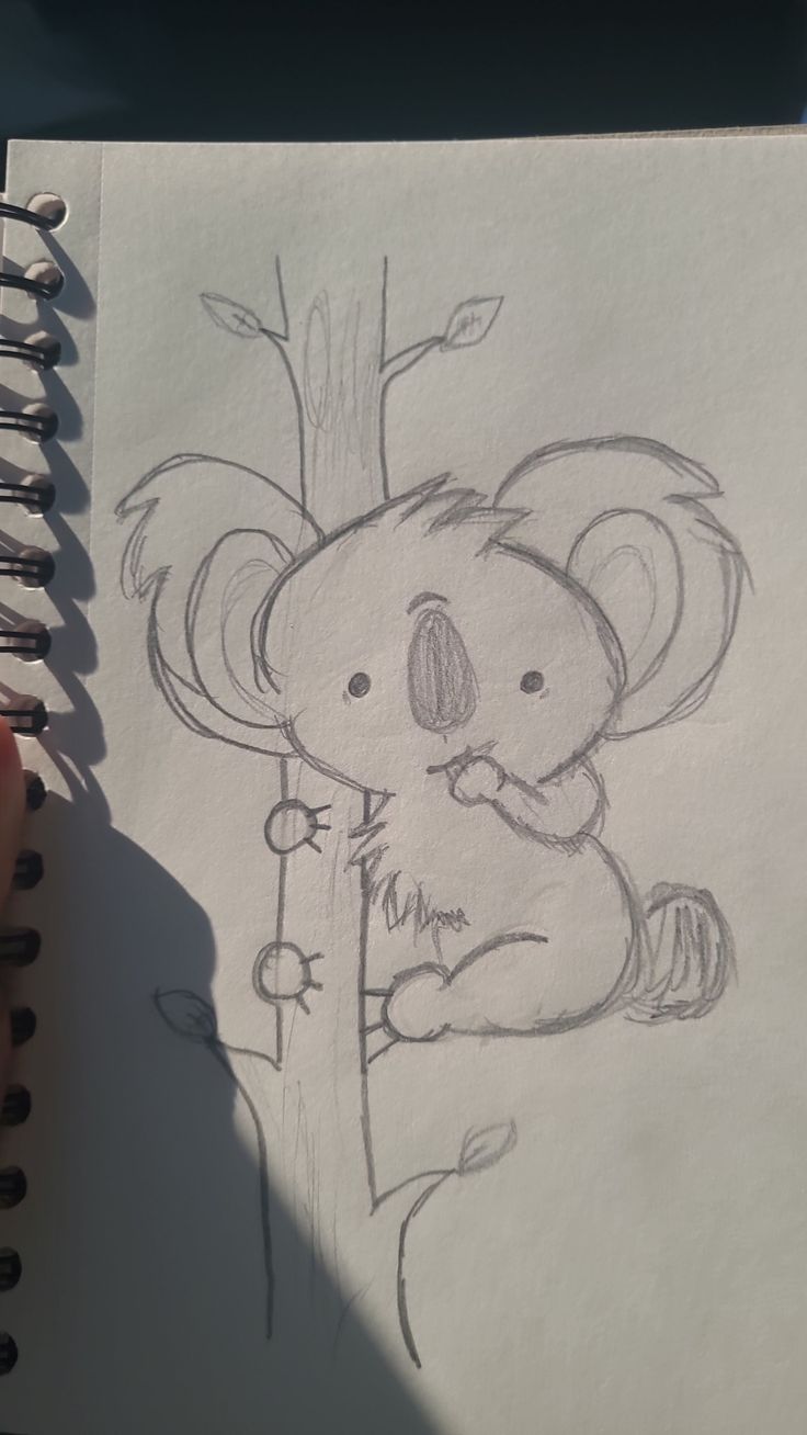 a drawing of a koala holding a tree branch