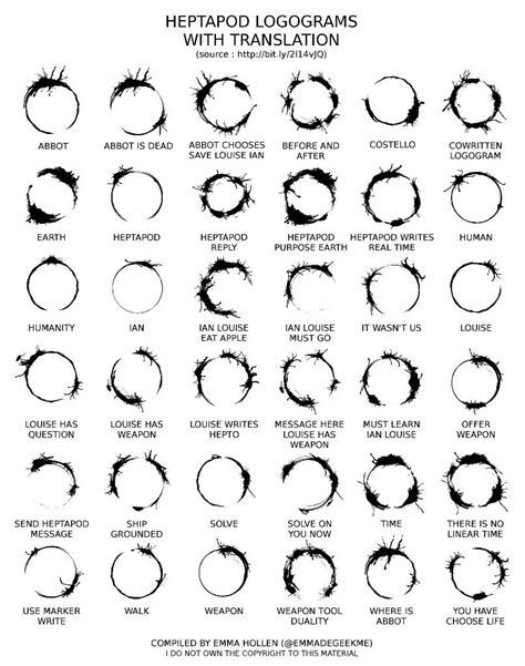 the different types and sizes of hair