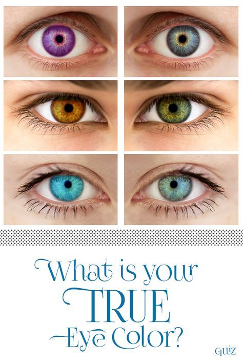 Do you have the charm of someone with baby blue eyes, or do you keep situations calm with your soothing brown irises? Take our quiz and discover which true eye color lies within your soul! Baby Blue Eyes, Color Quiz, Long Hair Tips, Color Quotes, Baby Blues, Fun Quizzes, Irises, Green Eyes, Your Soul