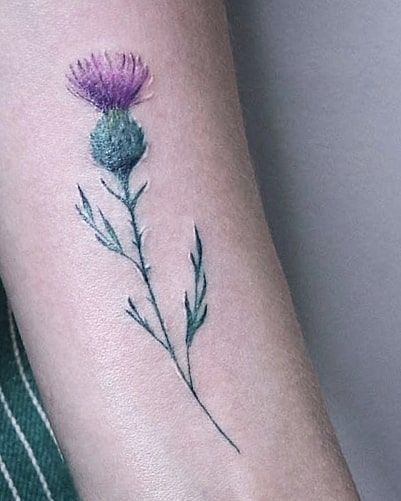 a thistle flower tattoo on the arm