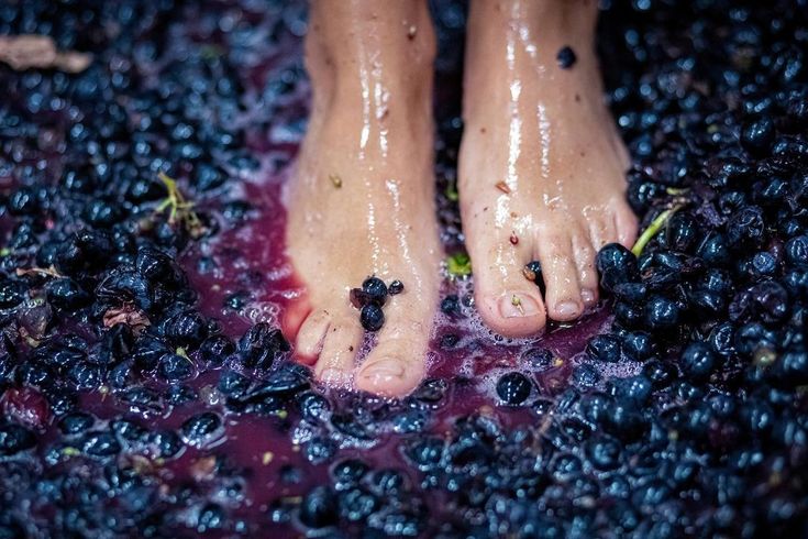 a close up of a person's bare feet with blueberries on the ground