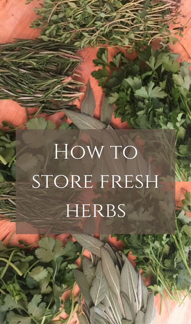 carrots and parsley on a wooden table with the words how to store fresh herbs