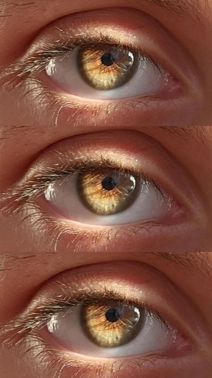 Gold Hazel Eyes, Bright Hazel Eyes, Rare Eye Colors Gold, Hazel Eyes In The Sun, Green Gold Eyes, Hazel Doe Eyes, Blue Eyes With Gold Flecks, Amber Green Eyes, Gold Brown Eyes