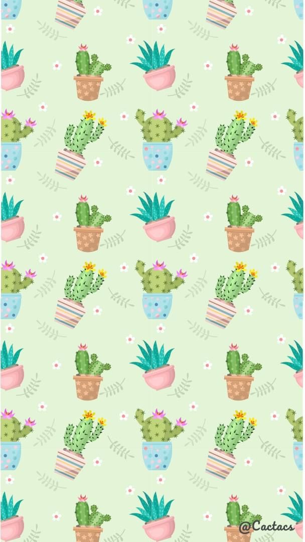 a green wallpaper with cactus and flowers on it