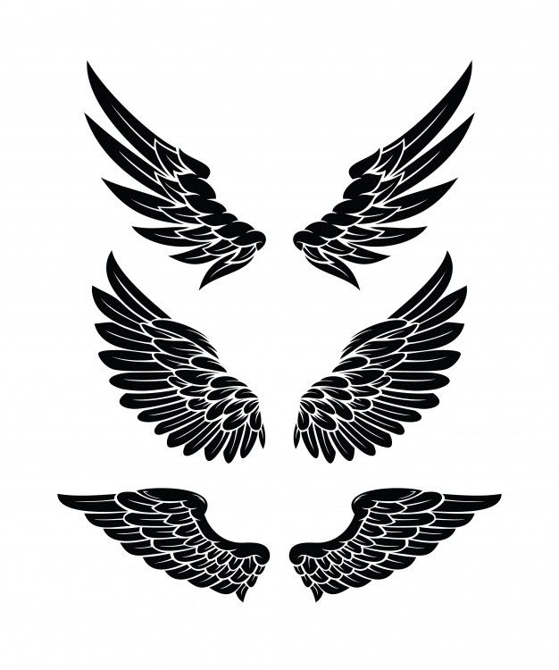 three black and white wings on a white background