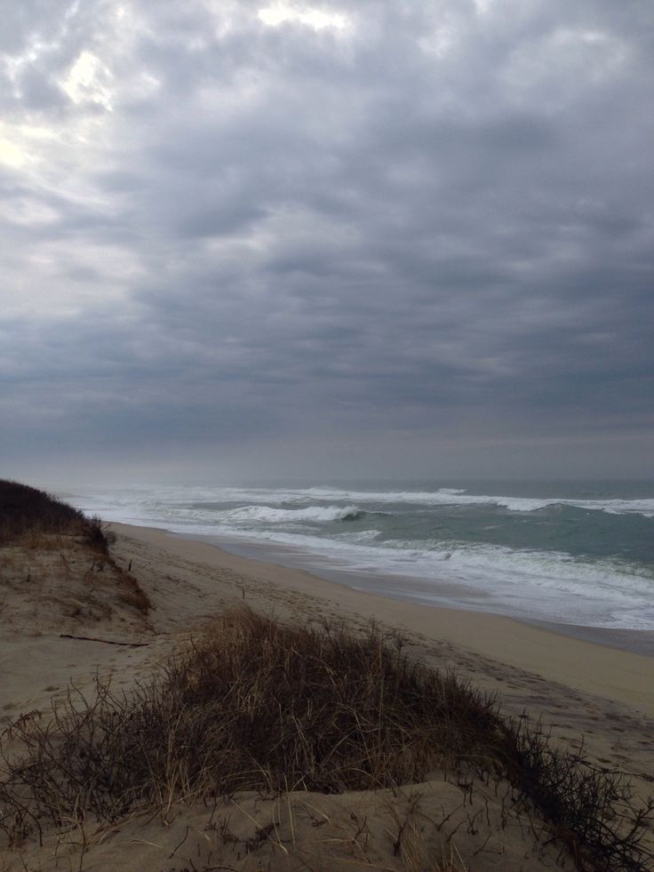 the beach is covered in grass and sand with waves coming in from the ocean on a cloudy day