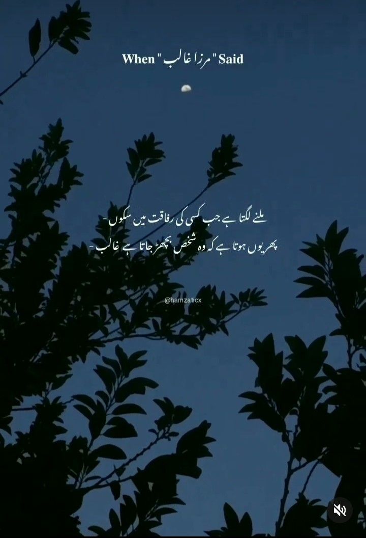 the moon is shining in the sky above some trees and leaves with arabic writing on it