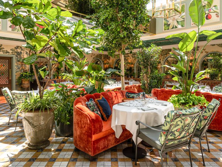 a restaurant with tables and chairs covered in plants