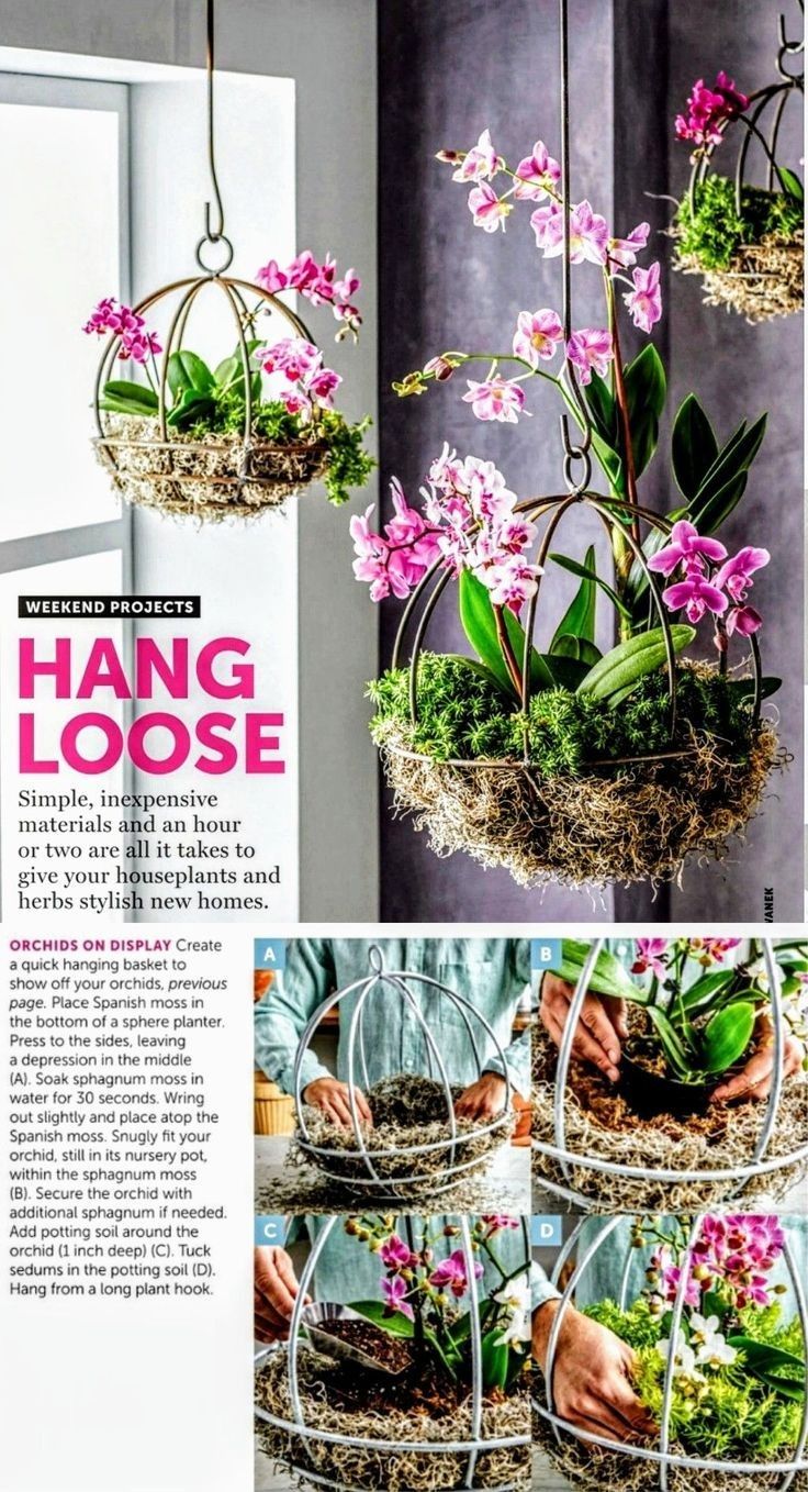 an article about hanging flowers in pots