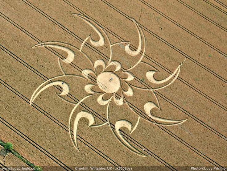 an aerial view of a farm field that has been carved into the ground with flowers