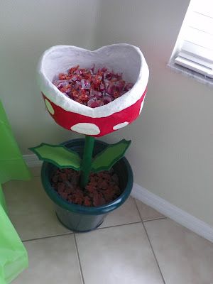 a potted plant in the shape of a heart