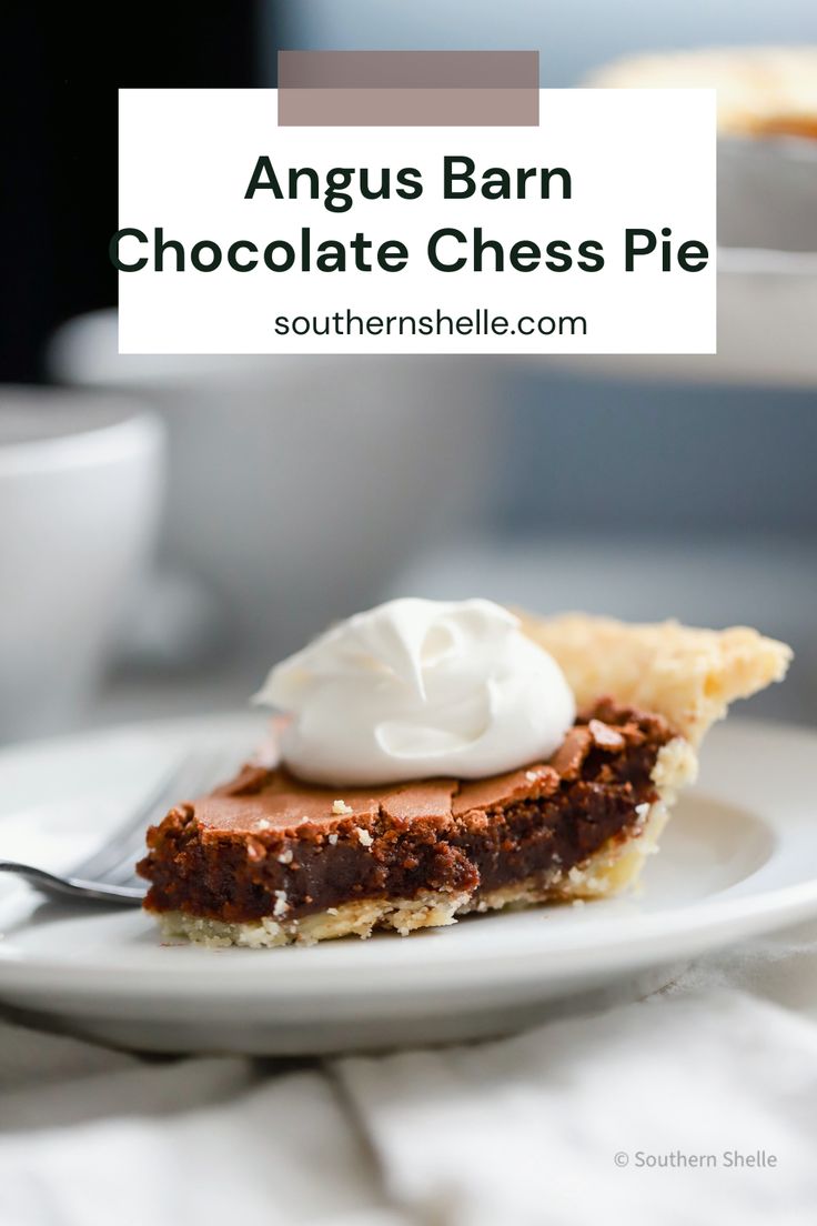 a piece of chocolate cheese pie on a white plate with whipped cream in the middle