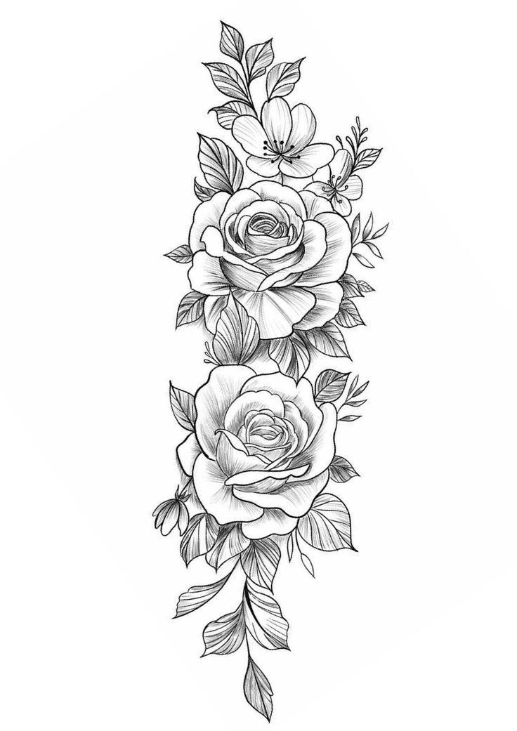 a black and white line drawing of roses