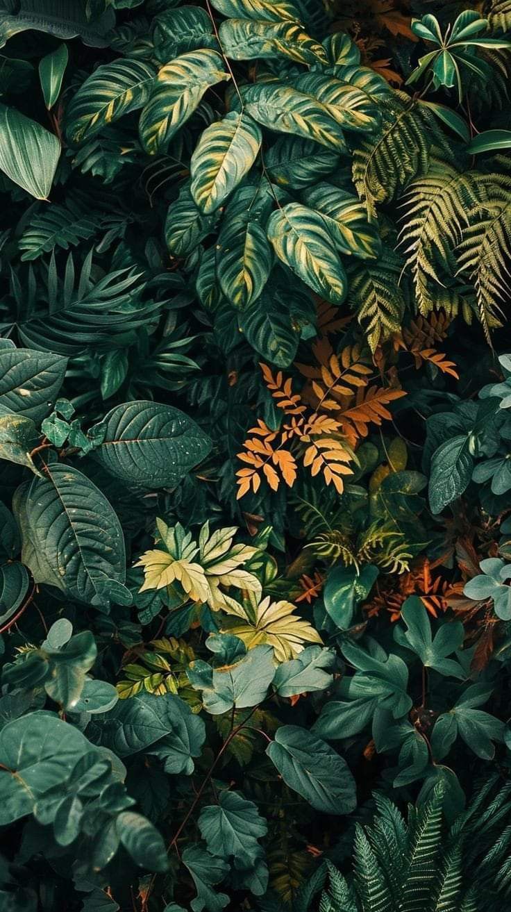 green leaves and other plants are growing on the wall