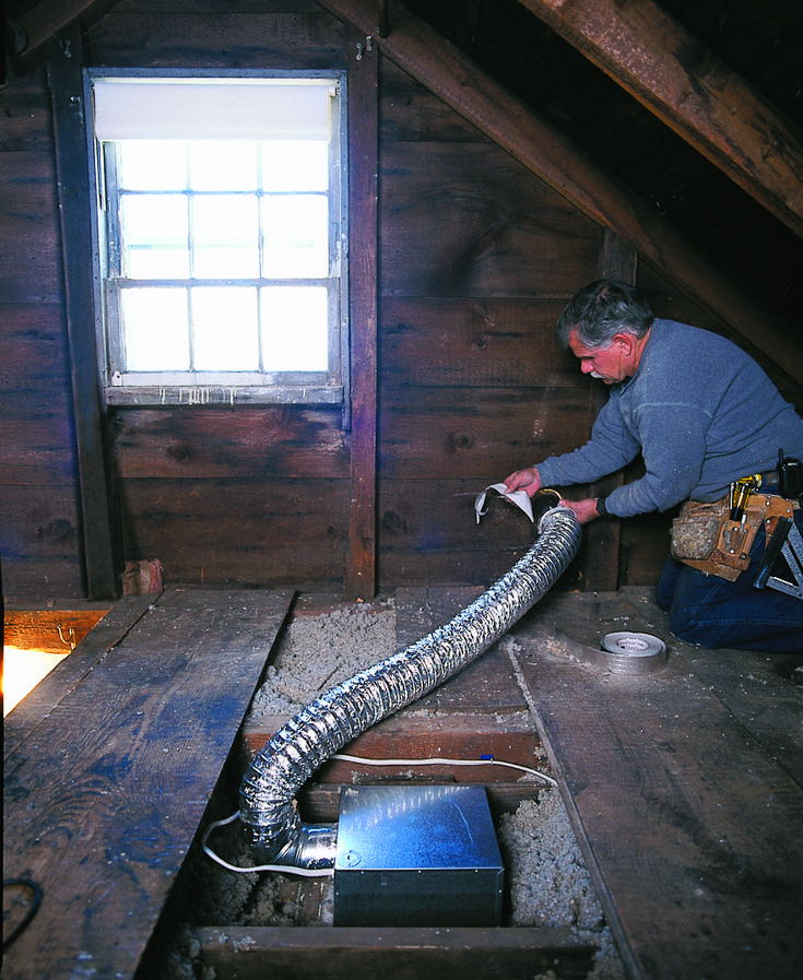 a man is working on an attic with a snake in his hand and other tools