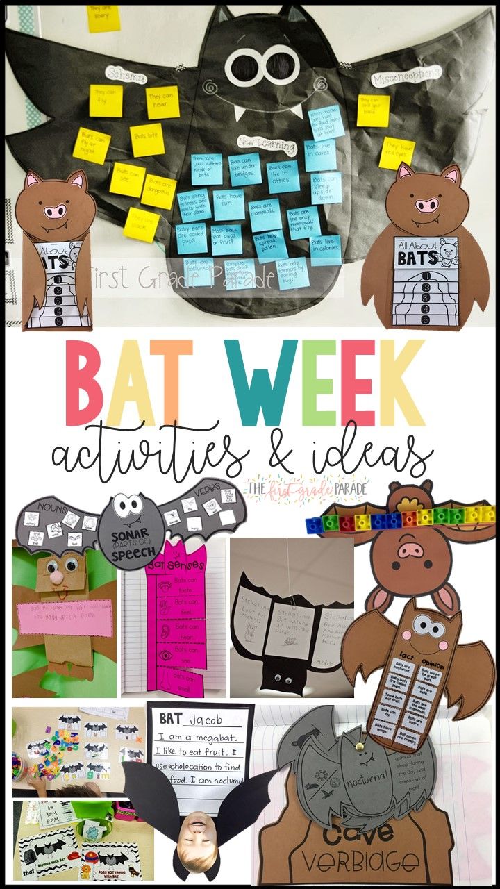 the bat week activities and ideas