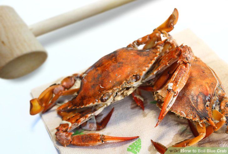 a cooked crab sitting on top of a piece of paper next to a rolling pin