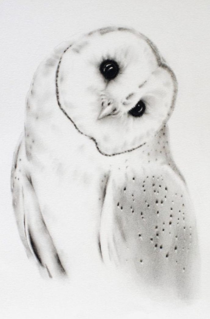 a black and white drawing of an owl