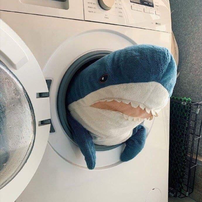 a stuffed shark is in the front of a washing machine