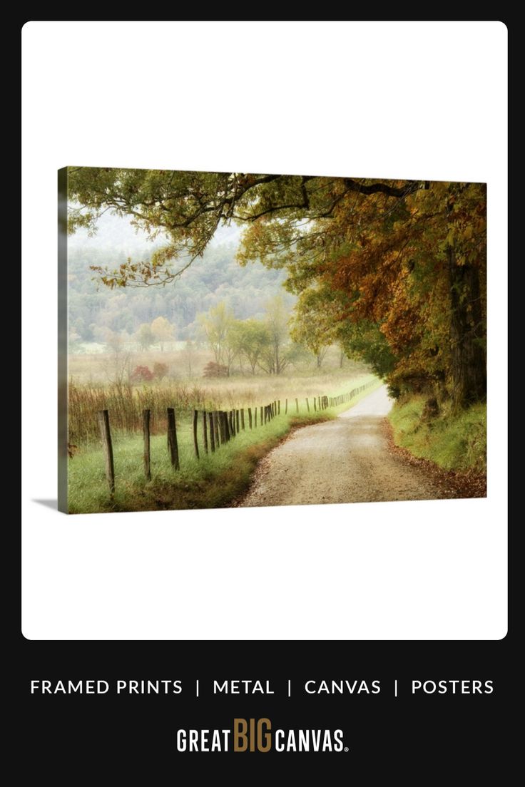 an image of a country road with trees and grass