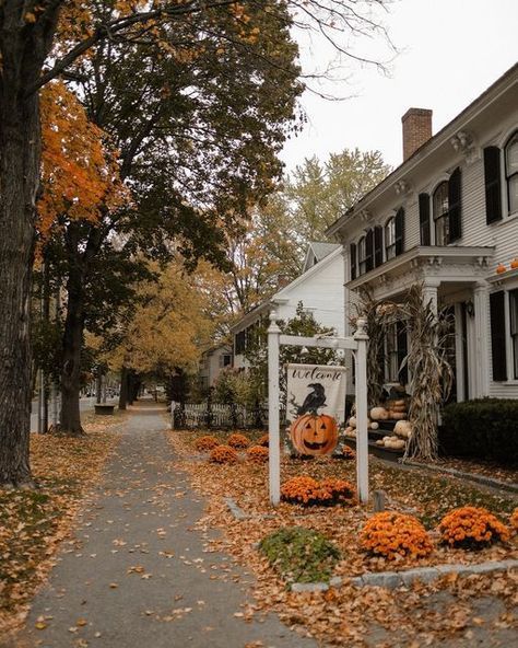 a white house with lots of pumpkins on the front yard and trees around it