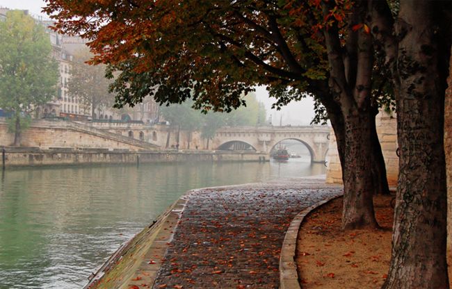 a river that has some trees on it and a bridge in the background with buildings