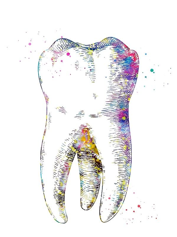 Tooth Watercolor, Tooth Poster, Dental Illustration, Dental Wall Art, Dental Wallpaper, Dentist Art, Tooth Tattoo, Dental Images, Teeth Art