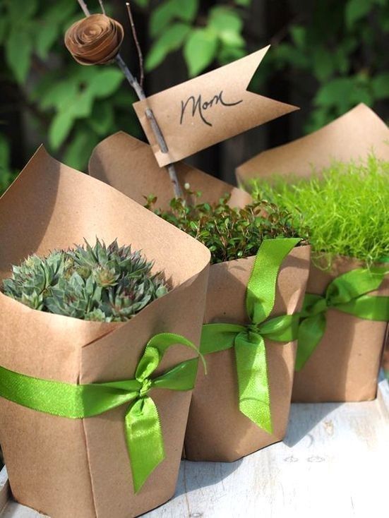 three brown paper bags filled with plants on top of a white wooden table covered in green ribbon