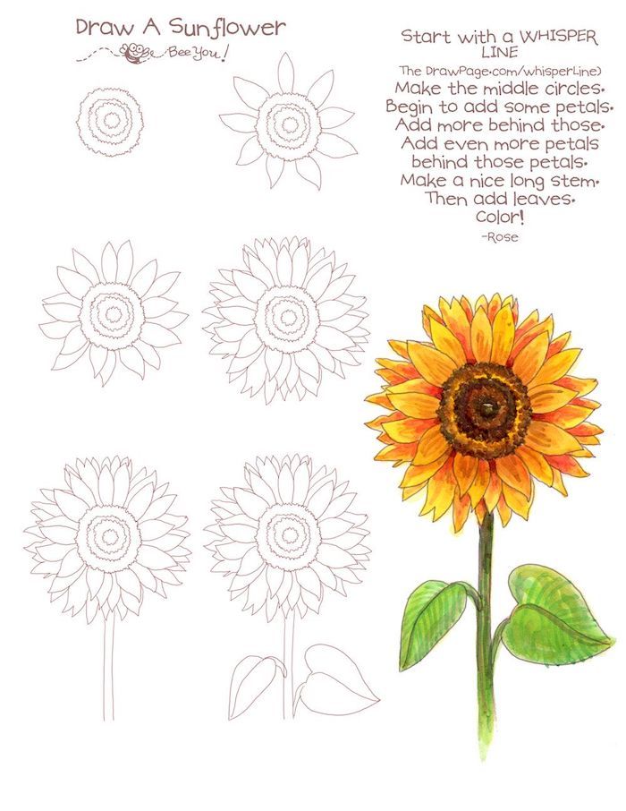 a sunflower is shown with the words draw a sunflower on it